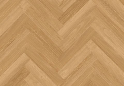 Australian Blackbutt