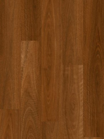 Australian Spotted Gum
