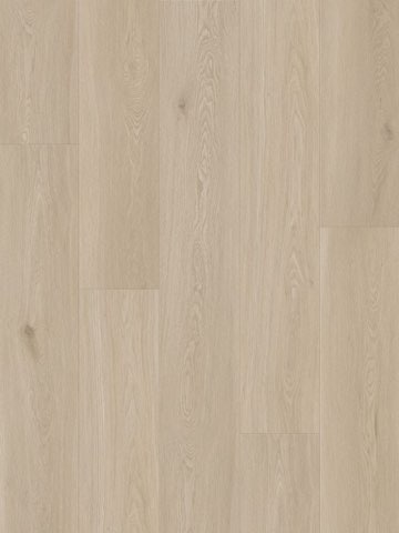 Blanca