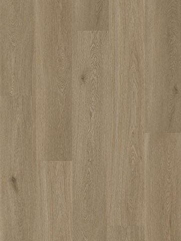 Coastal Clay