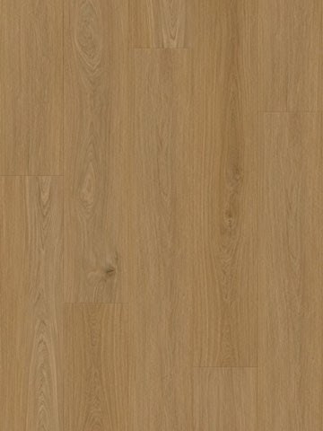 Paris Tan