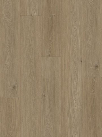 Sapia Clay