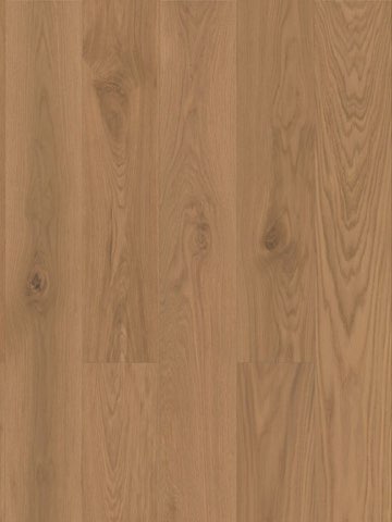 Muted Brown