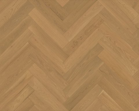 Light Neutral