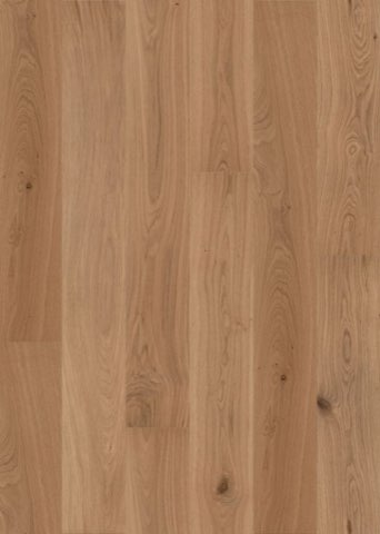 Fawn Oak