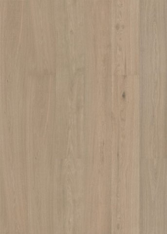 Terrace Grey